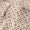 Womens Kick Flare Pant Grid Clay