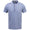 As The Waves Glow Polo Falcon