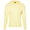 The Jackson Pullover Hoodie Citron