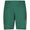 Trophy Swim Shorts Green