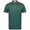 The Collins Polo Sage/Navy
