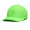 Silicone Skull & Tees Low Profile Cap Gecko