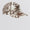 Technical Cap Brown Botanical